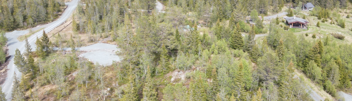 Buinstøyl hyttefelt mot nord