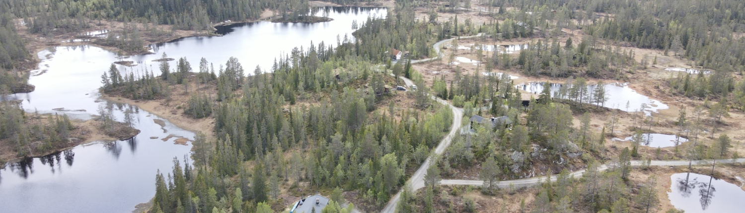 Buinstøyl hyttefelt mot sør