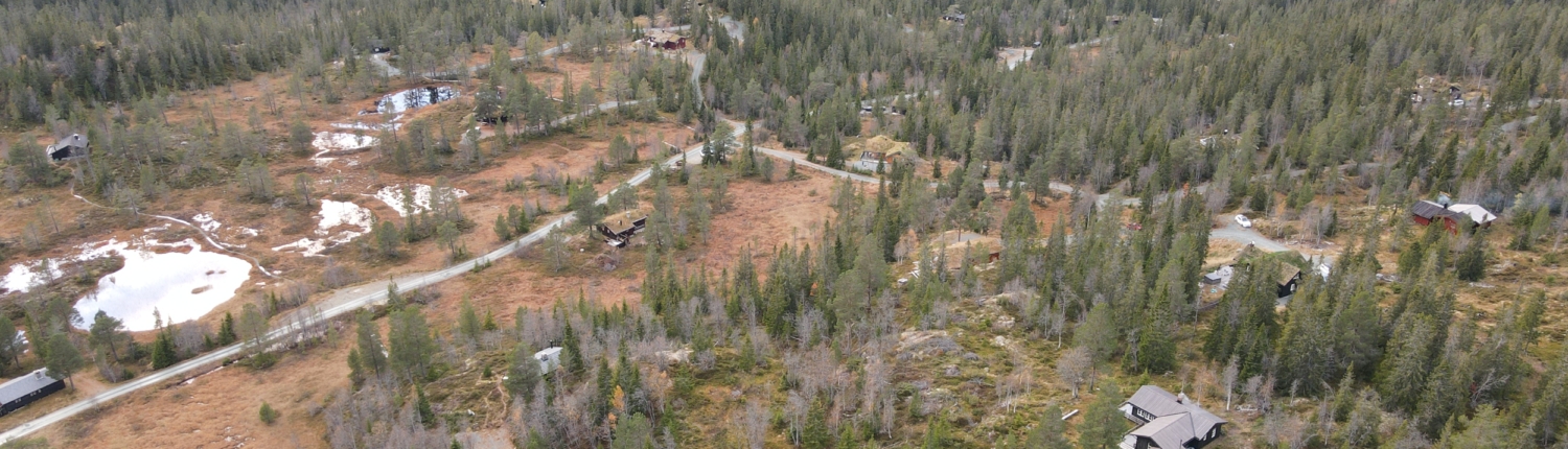 Buinstøyl hyttefelt