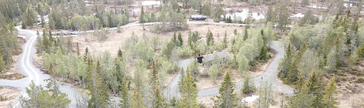 Buinstøyl hyttefelt sørover